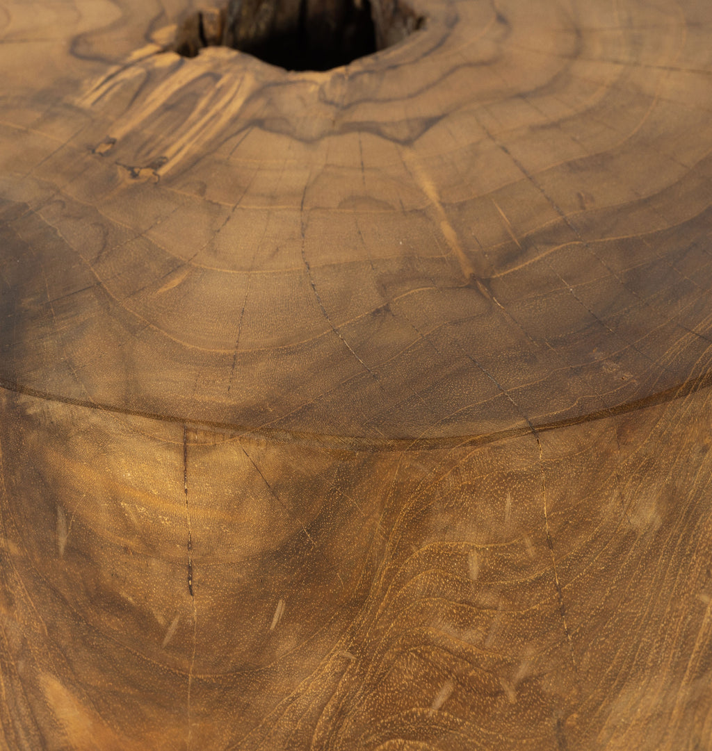 Eloise Outdoor Teak End Table
