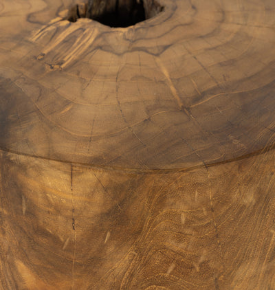 Eloise Outdoor Teak End Table