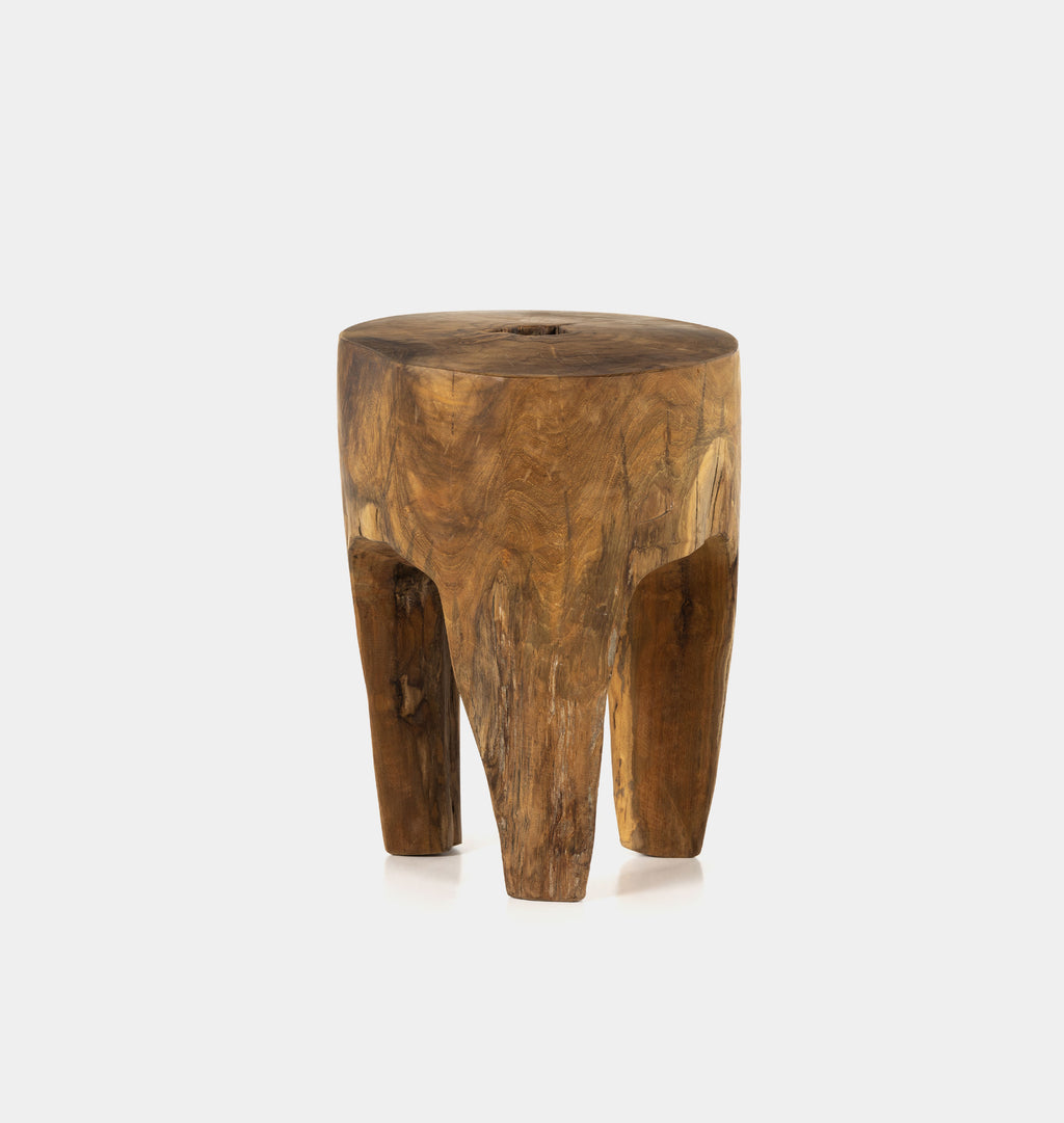 Eloise Outdoor Teak End Table