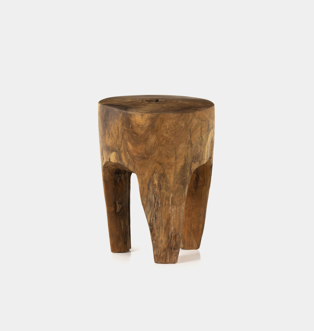 Eloise Outdoor Teak End Table