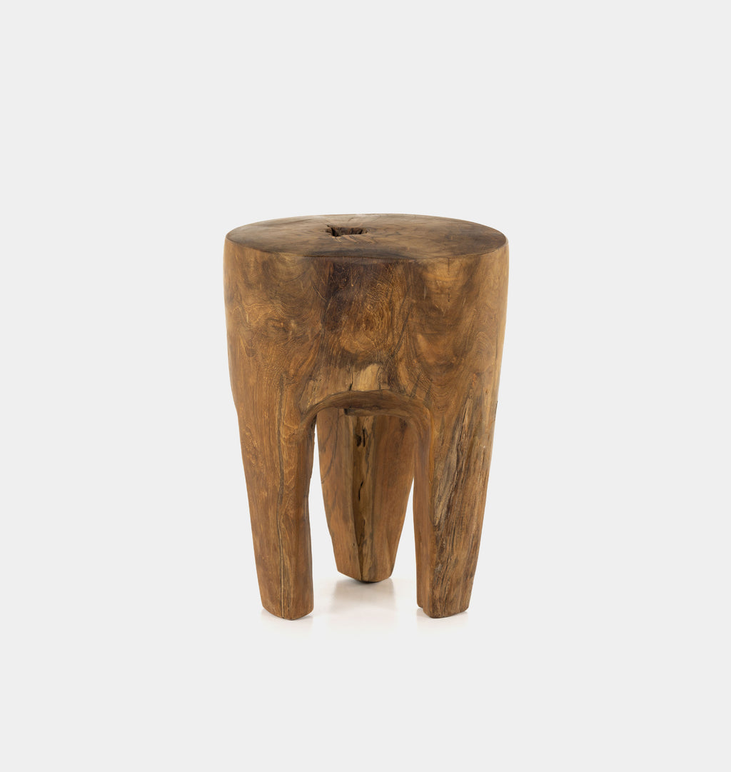 Eloise Outdoor Teak End Table
