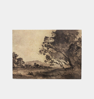 Hannah Winters Heirloom No. 6