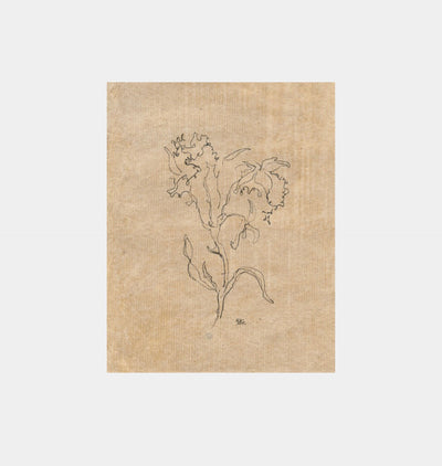 Large Contour Flower by Brittney Schultz
