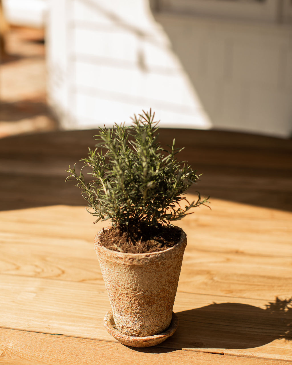 Leith Planter