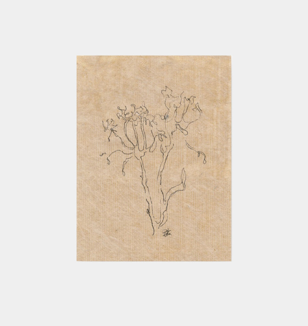 Small Countour Flower