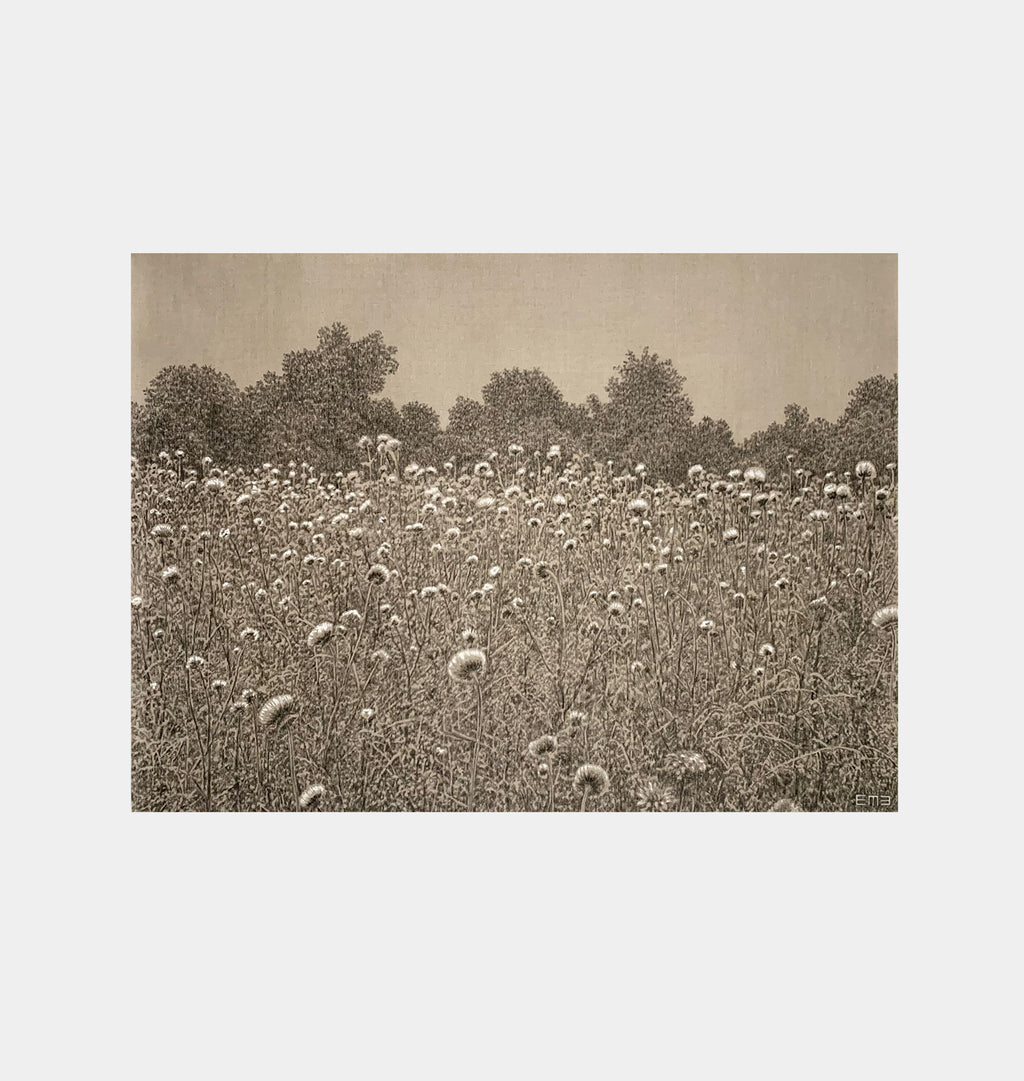 Thistle Fields by Emily Morgan Brown