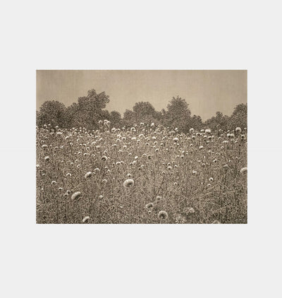 Thistle Fields by Emily Morgan Brown