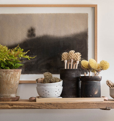 Natural Dish Brush