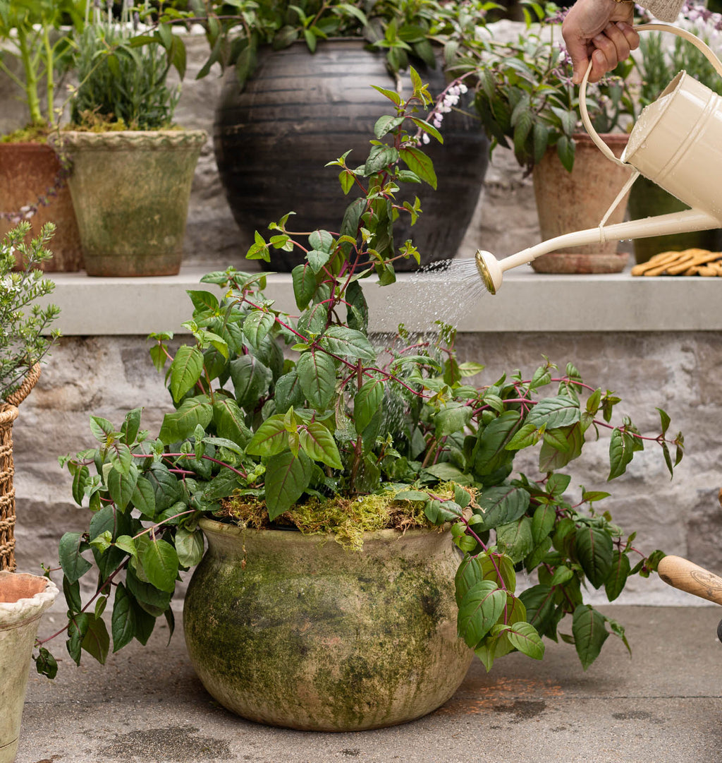 Classic Aged Planter