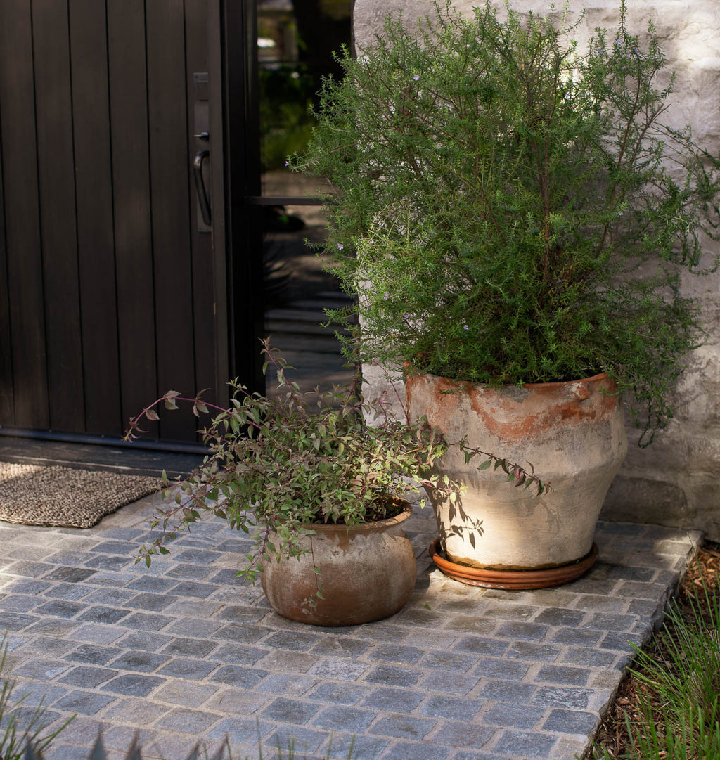 Classic Aged Planter